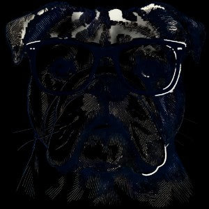 Bulldog Chic Glasses Design